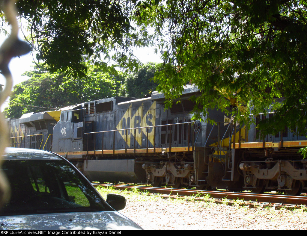 MRSL 3904